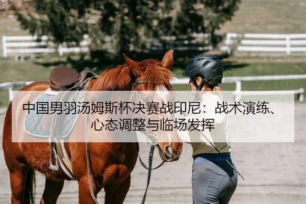 中国男羽汤姆斯杯决赛战印尼：战术演练、心态调整与临场发挥