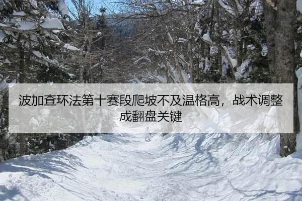 bo-jia-cha-huan-fa-di-shi-sai-duan-pa-po-bu-ji-wen-ge-gao-zhan-shu-tiao-zheng-cheng-fan-pan-guan-jian-2-811.jpg